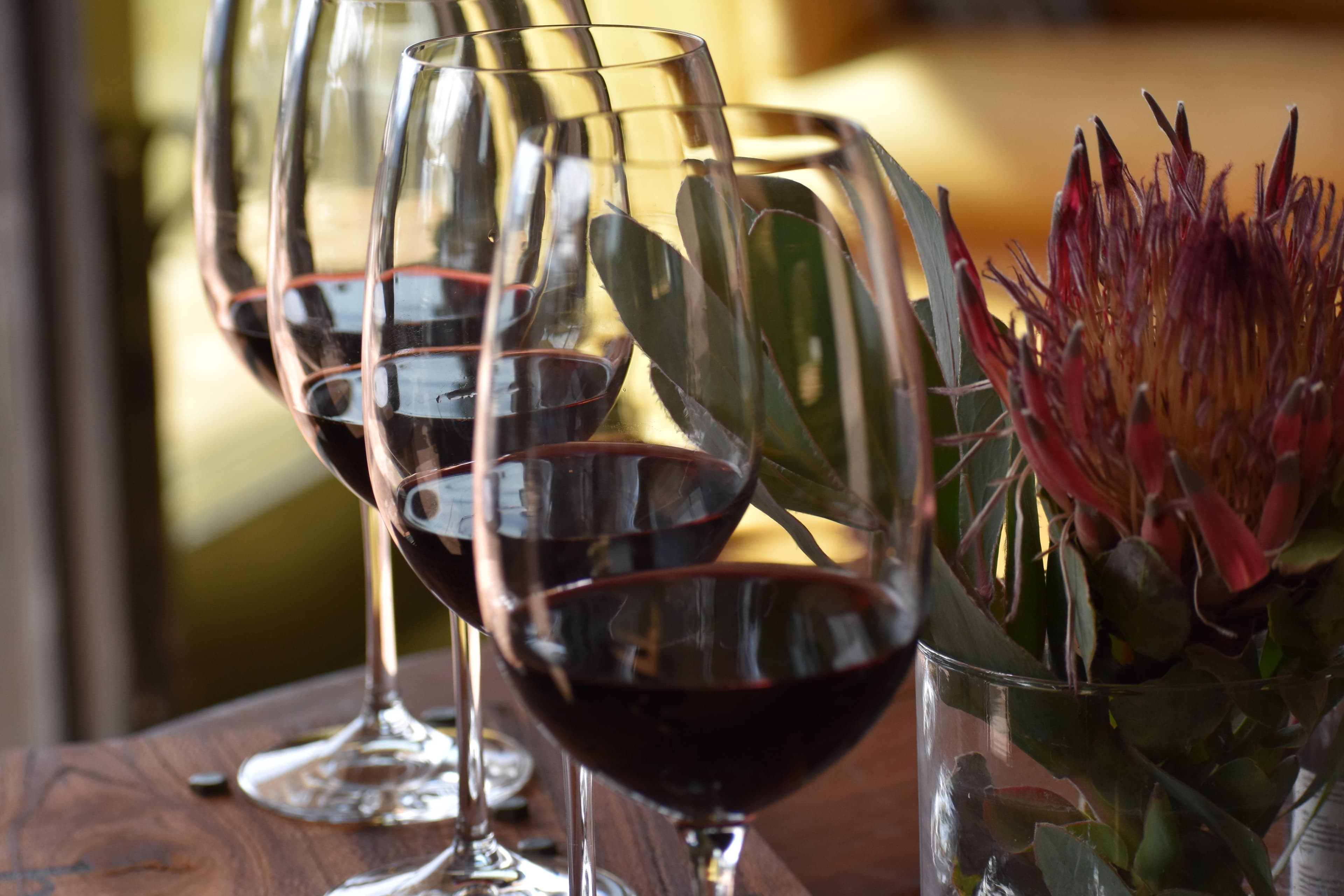 Wine glasses and protea flower, Stellenbosch